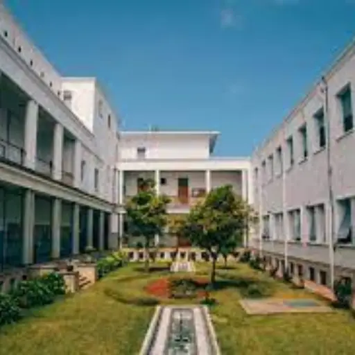 School (1)